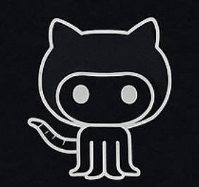 GitHub Repository